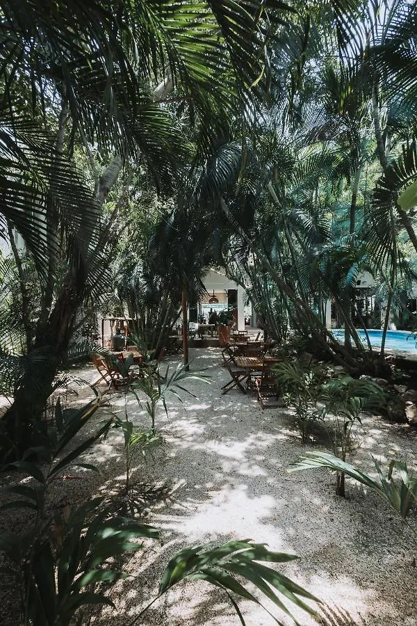 Casa La Sultana Holbox: Amazing House With Pool Villa 0*, Isla Holbox