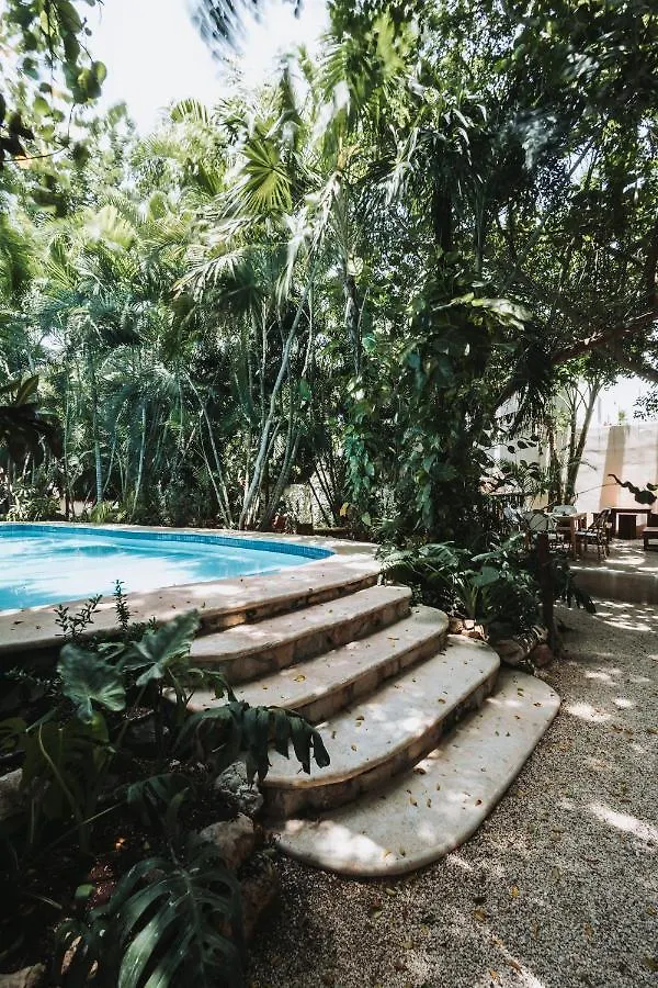 Casa La Sultana Holbox: Amazing House With Pool Villa Mexico