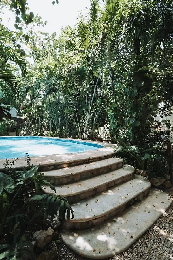 Casa La Sultana Holbox: Amazing House With Pool Villa 0*, Isla Holbox Mexico